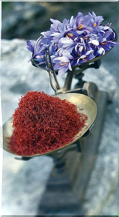 saffron medicinal properties