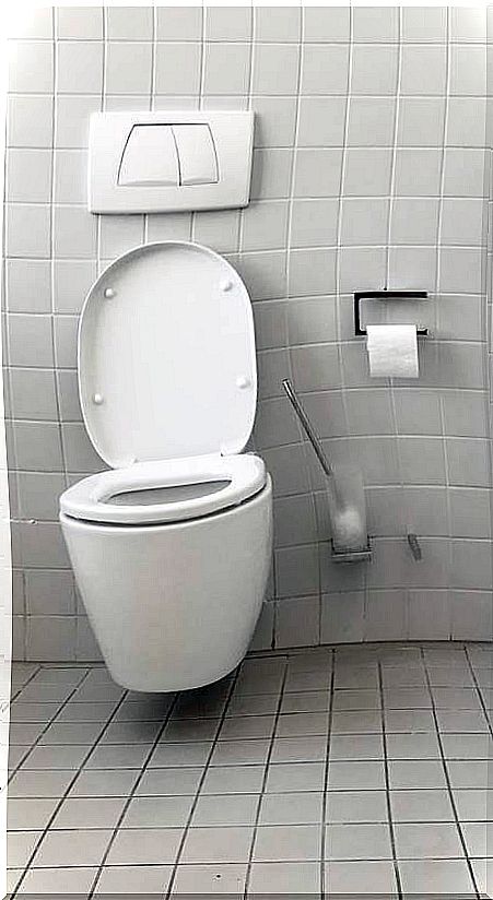 Open toilet