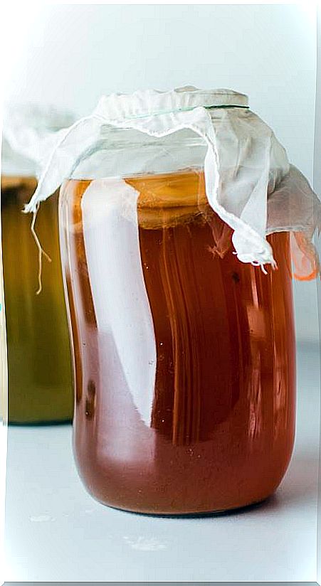 Two jars with kombucha