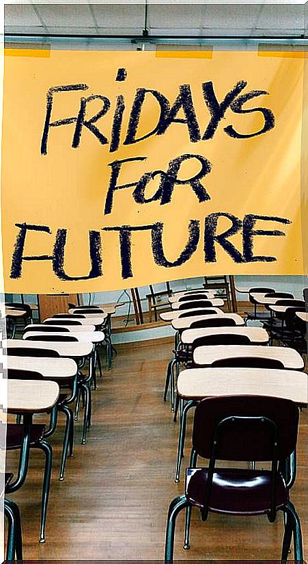 fridays for future 2